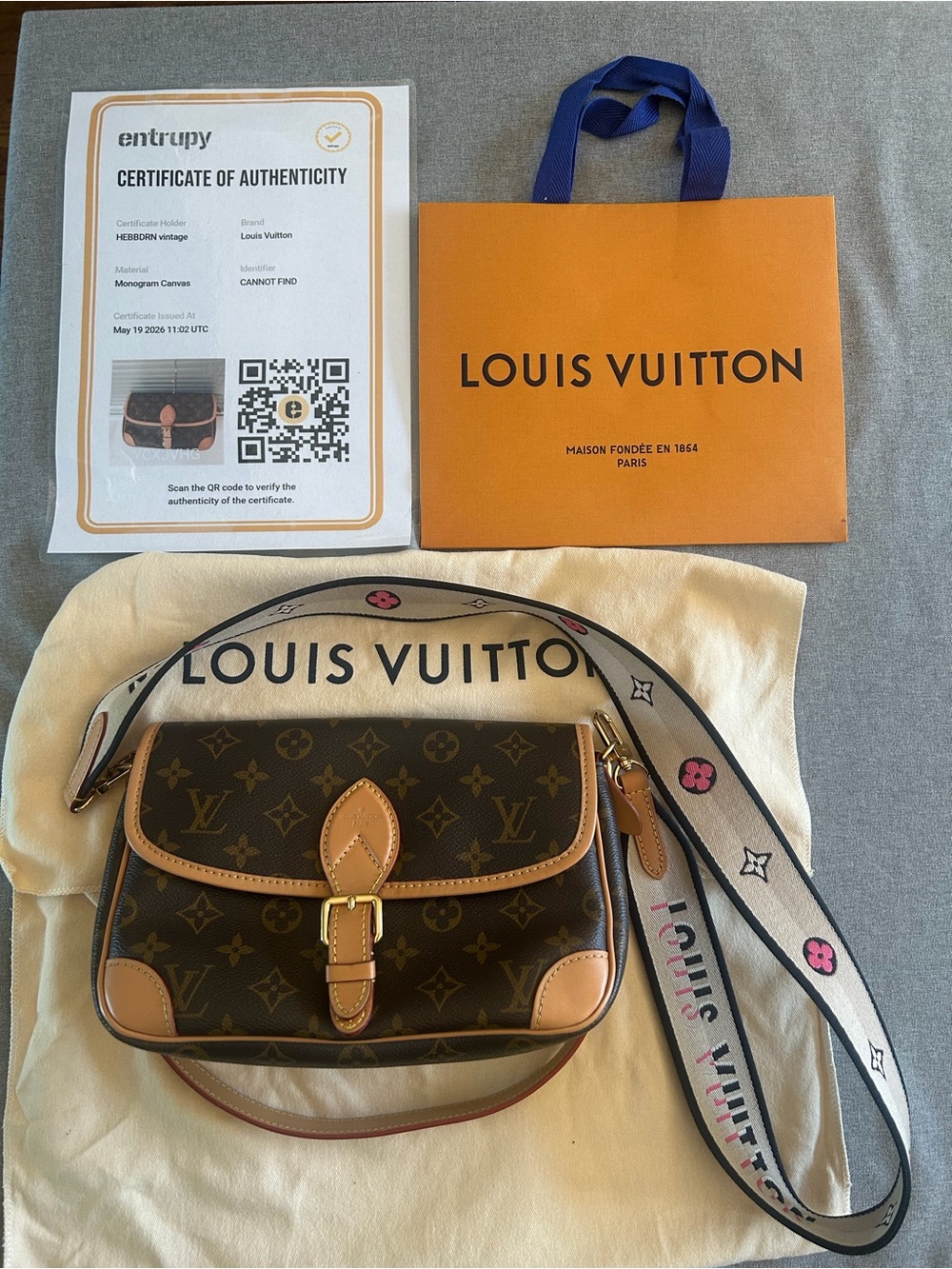 Louis Vuitton Diane Monogram Crossbody Bag